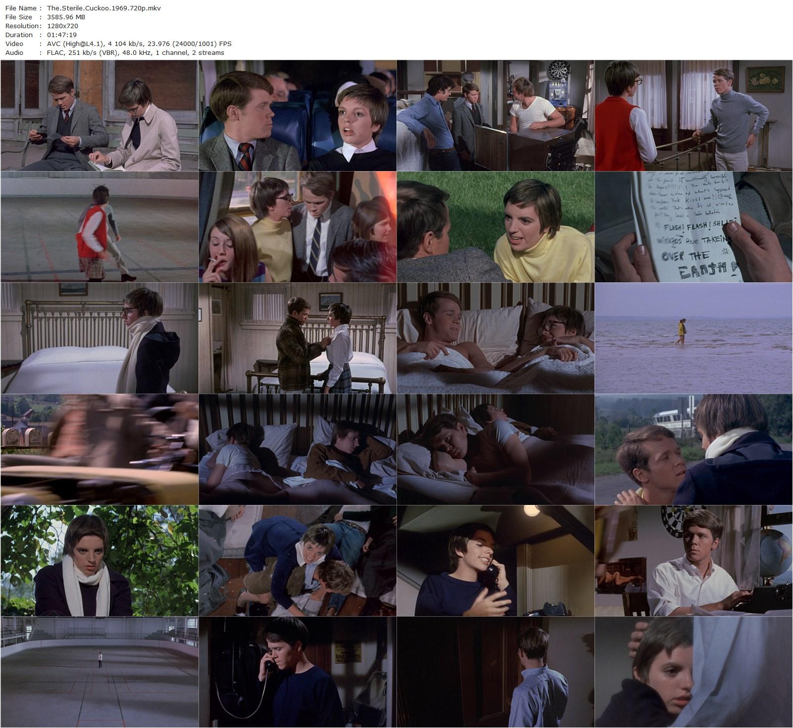 The Sterile Cuckoo (1969) Alan J. Pakula, Liza Minnelli, Wendell Burton, Tim McIntire-poster