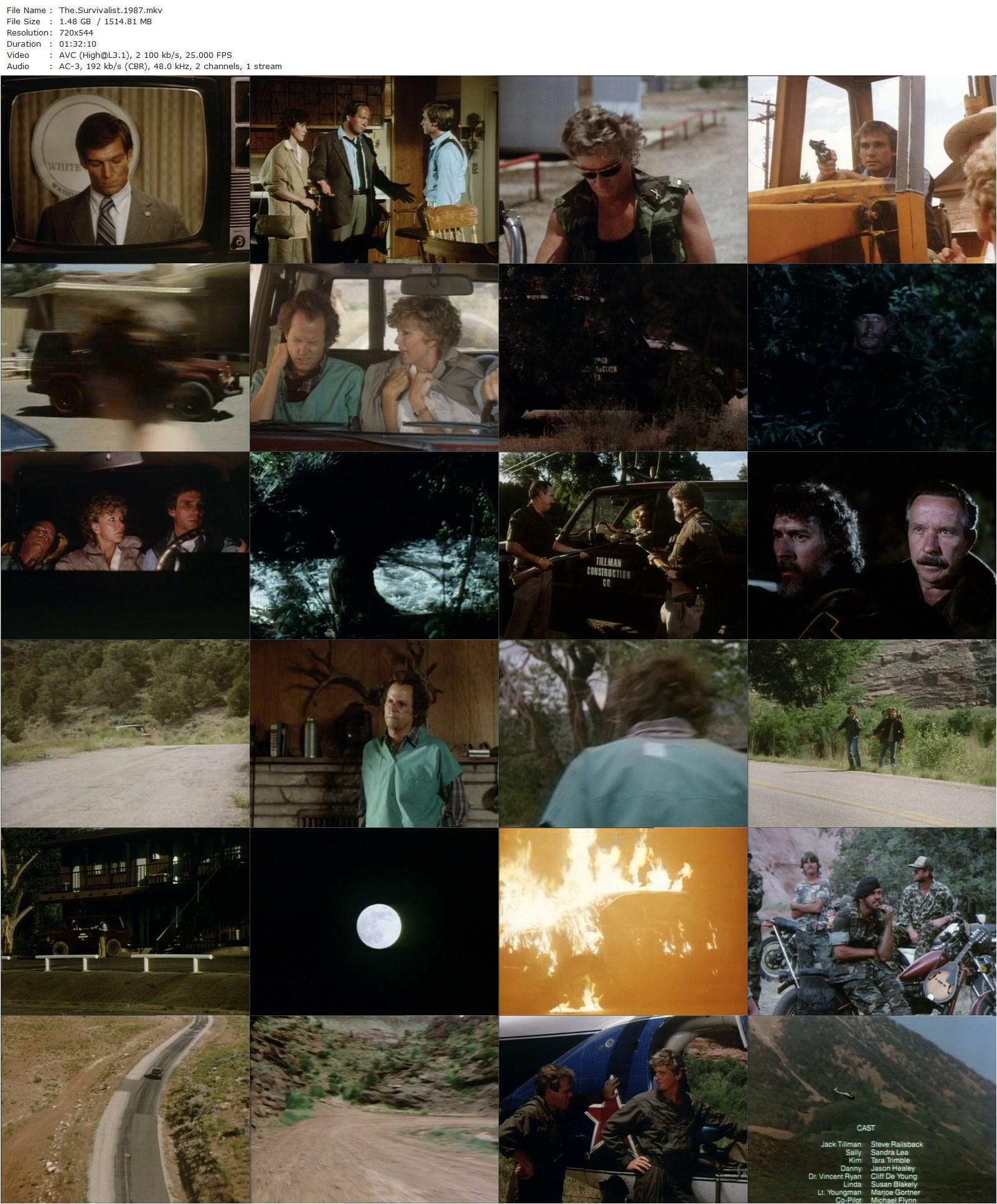 The Survivalist (1987) Sig Shore, Steve Railsback, Sandra Lea, Tara Trimble-poster