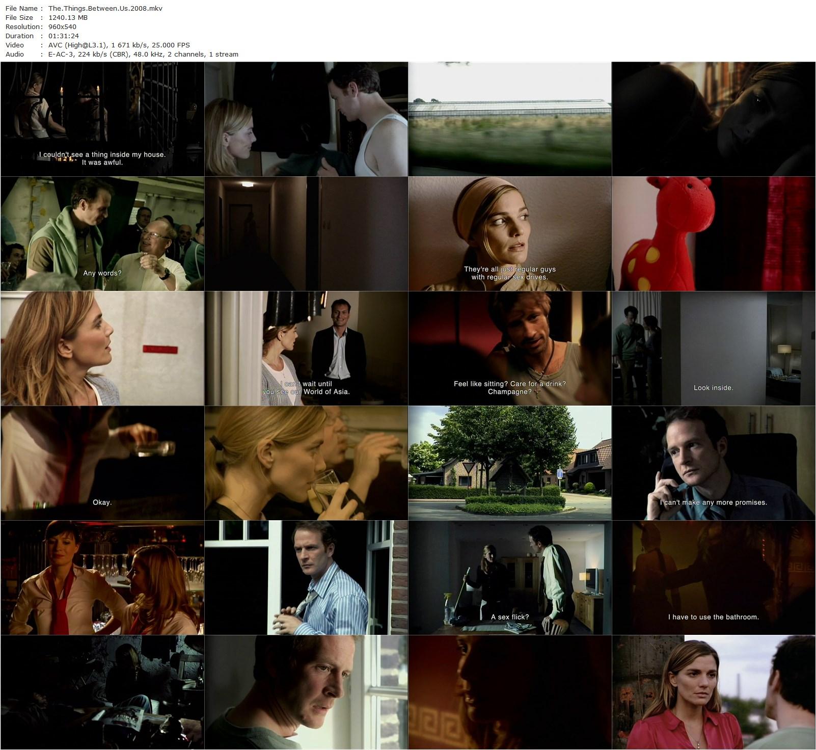 The Things Between Us AKA Die Dinge zwischen uns (2008) Iris Janssen, Daniela Wutte, Guido Broscheit, Christoph Jacobi-poster