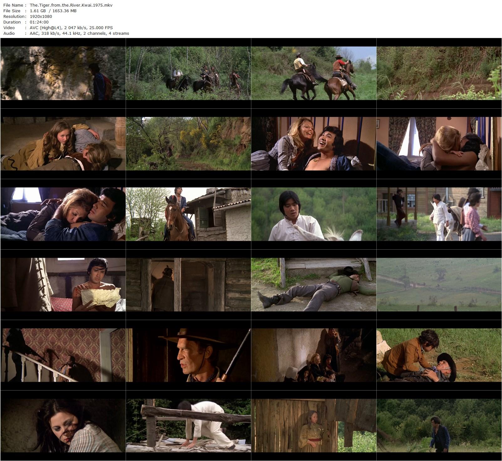 Tiger from River Kwai AKA La tigre venuta dal fiume Kwai (1975) Franco Lattanzi, George Eastman, Krung Srivilai, Kam Wong Lung-poster