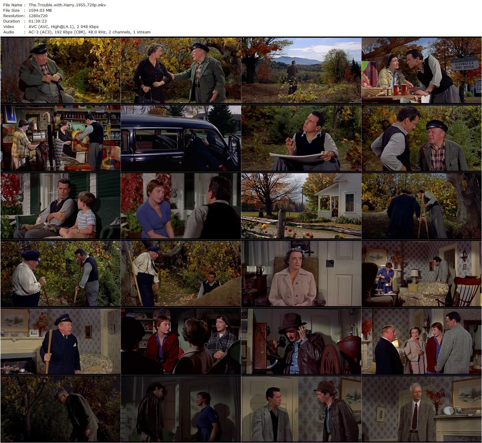 The Trouble with Harry (1955) Alfred Hitchcock, John Forsythe, Shirley MacLaine, Edmund Gwenn-poster