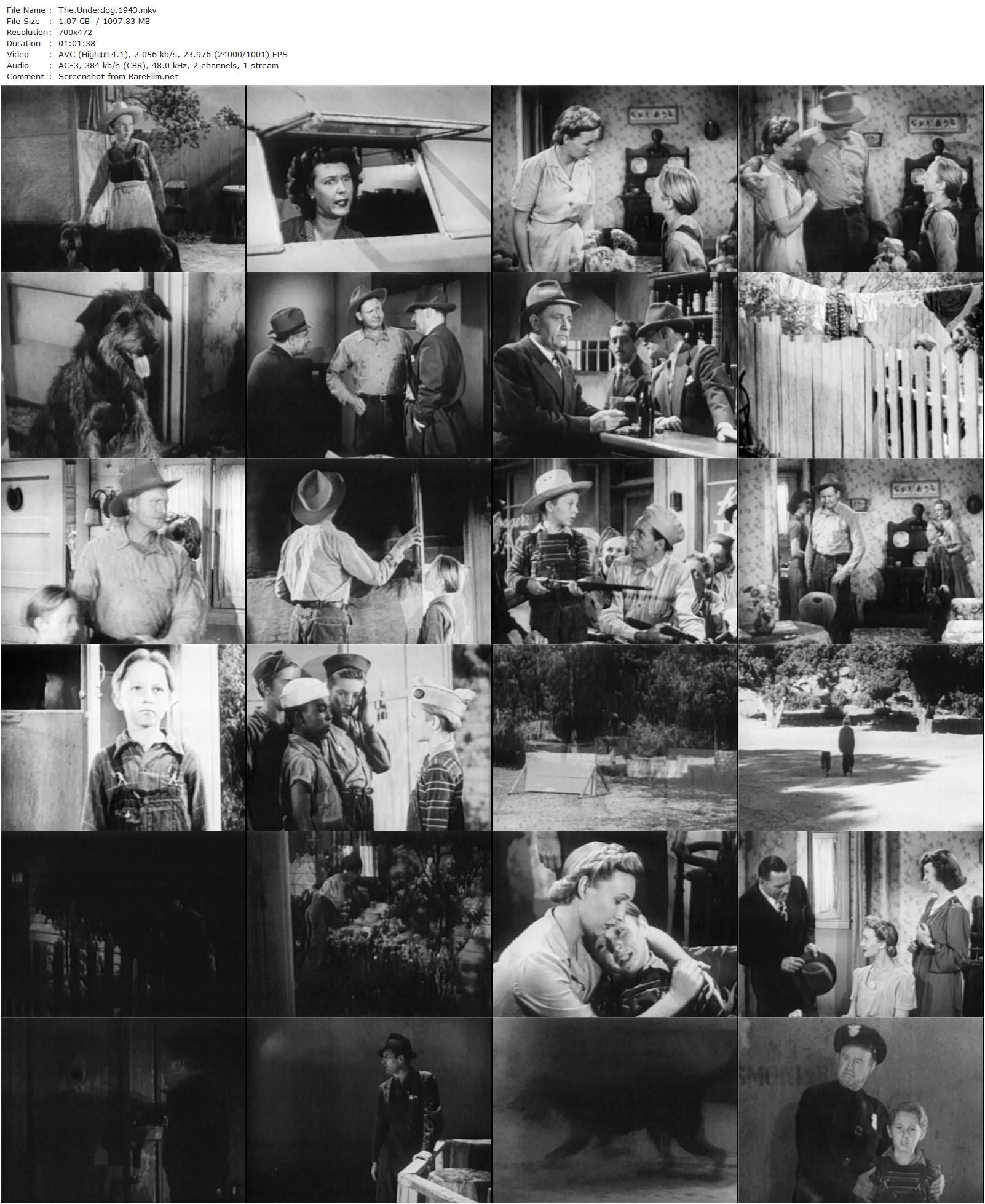 The Underdog (1943) William Nigh, Barton MacLane-poster