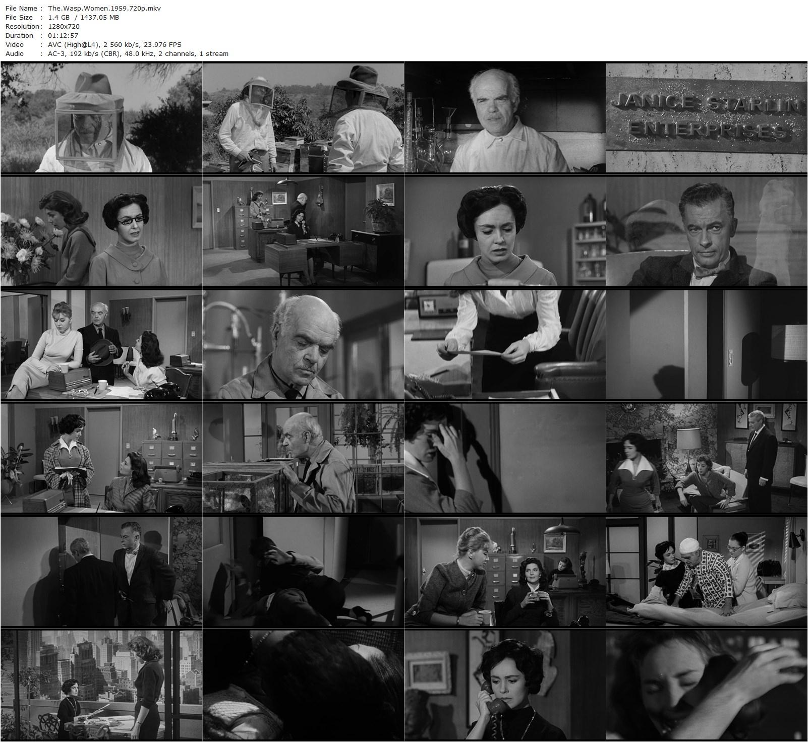 The Wasp Woman (1959) Roger Corman, Jack Hill, Susan Cabot, Anthony Eisley, Barboura Morris-poster