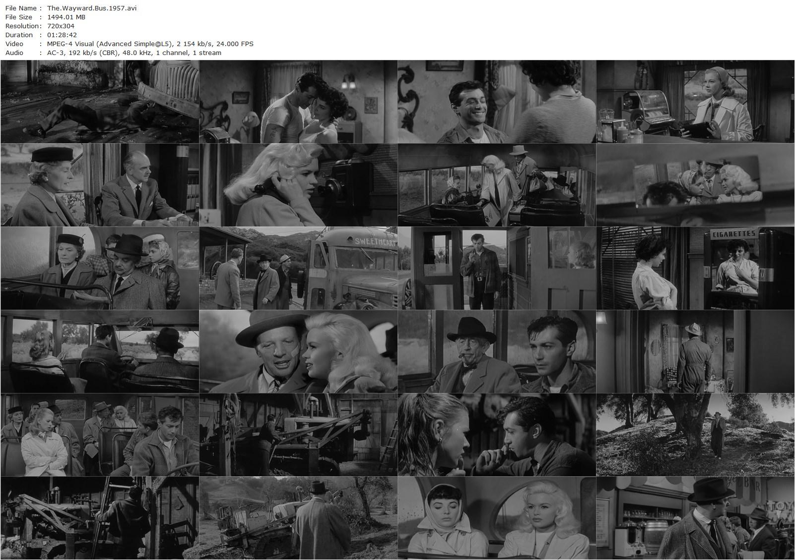 The Wayward Bus (1957) Victor Vicas, Joan Collins, Jayne Mansfield, Dan Dailey-poster