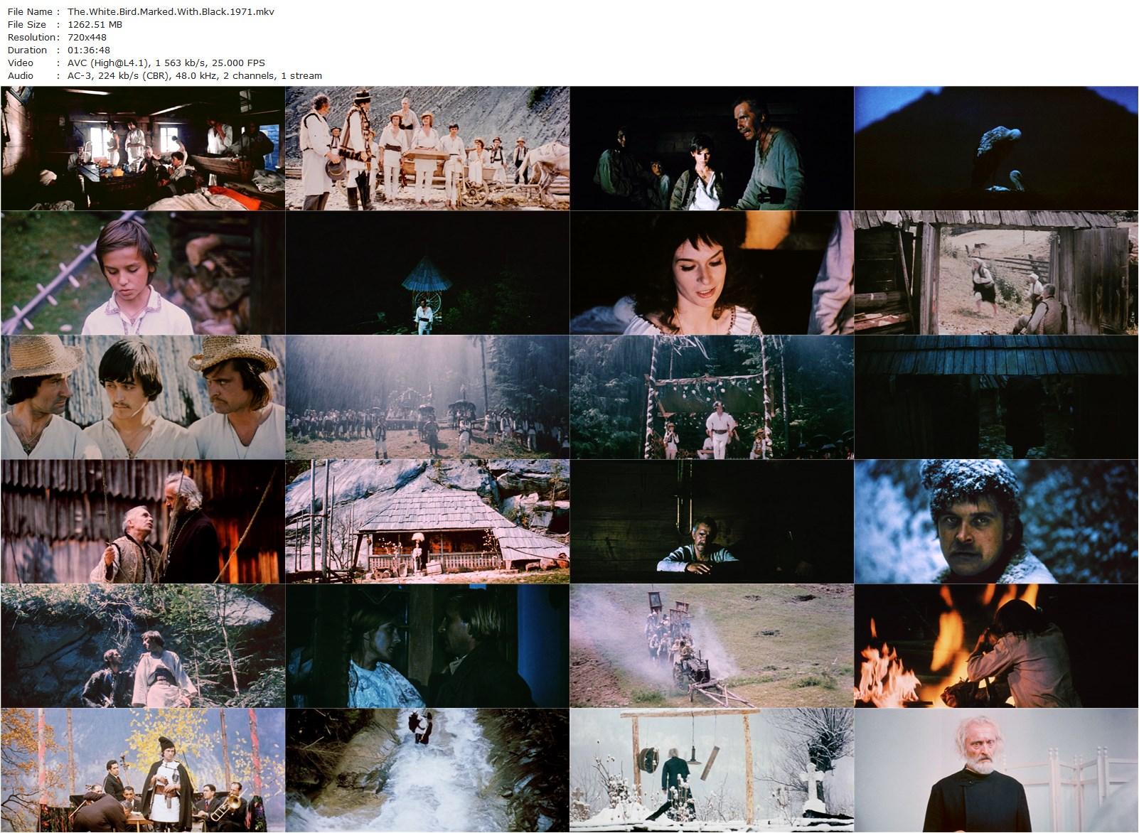 The White Bird Marked with Black AKA Bilyy ptakh z chornoyu oznakoyu (1971) Yuri Ilyenko, Larisa Kadochnikova, Ivan Mikolaychuk, Bogdan Stupka-poster