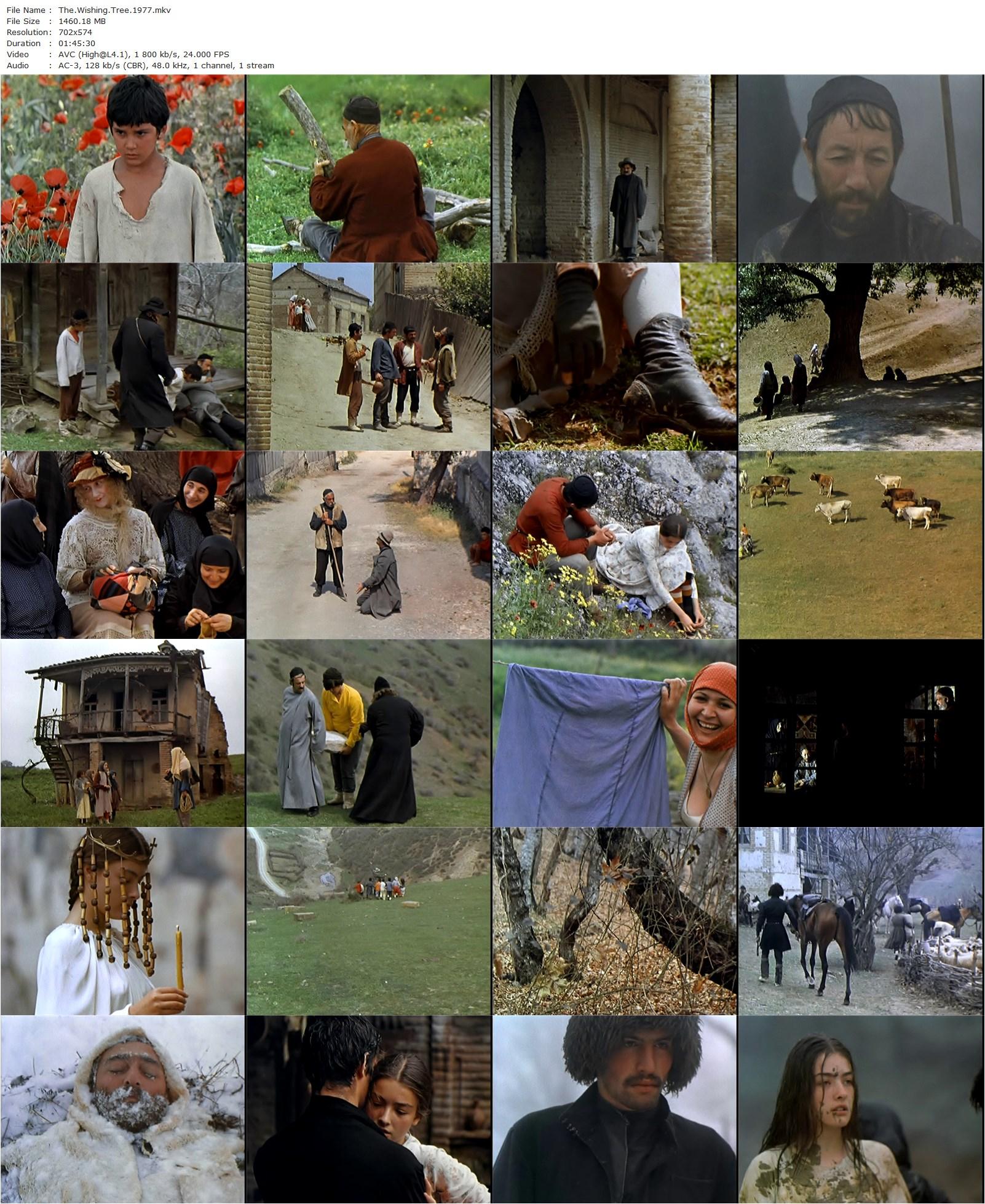 The Wishing Tree AKA Natvris khe (1976) Tengiz Abuladze, Lika Kavzharadze, Soso Jachvliani, Zaza Kolelishvili-poster