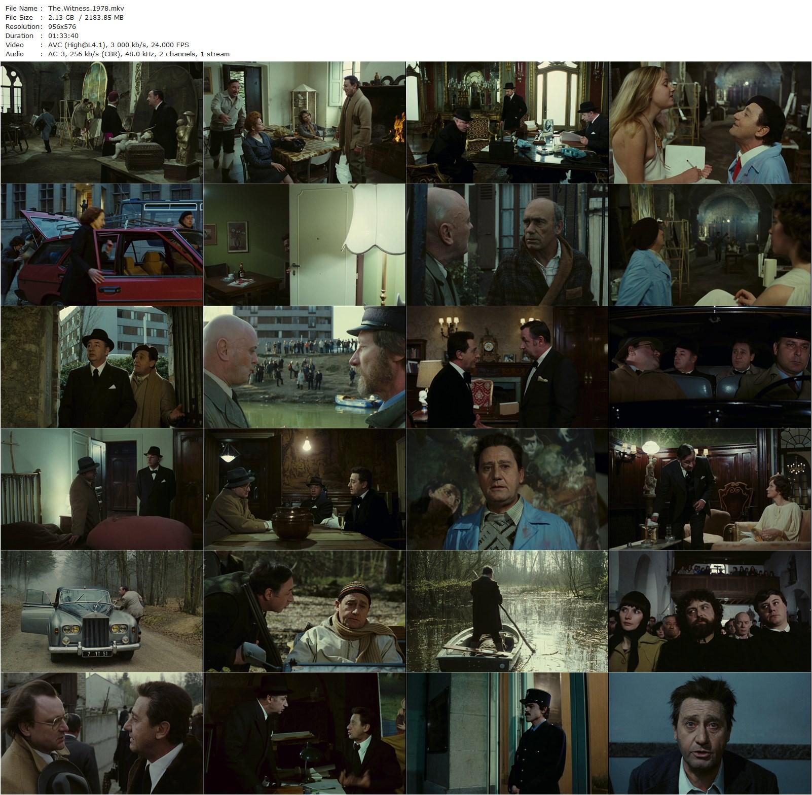 The Witness / Le témoin (1978)-poster