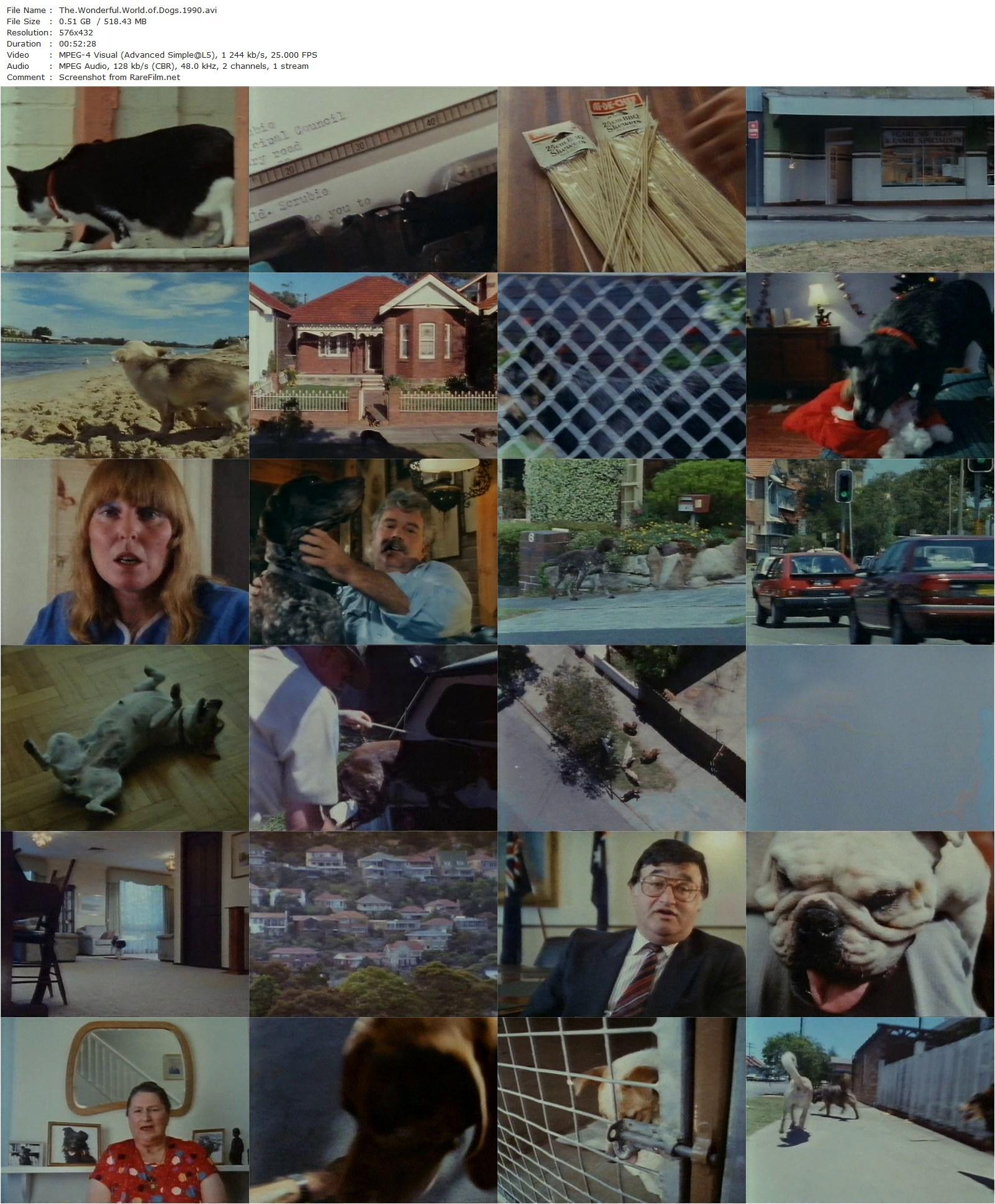 The Wonderful World of Dogs (1990) Mark Lewis, Bruce Marquette, Harold Scruby, Lyn Lyman-poster