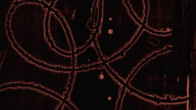 Theoria (2023) by Sean Bokenkamp-poster