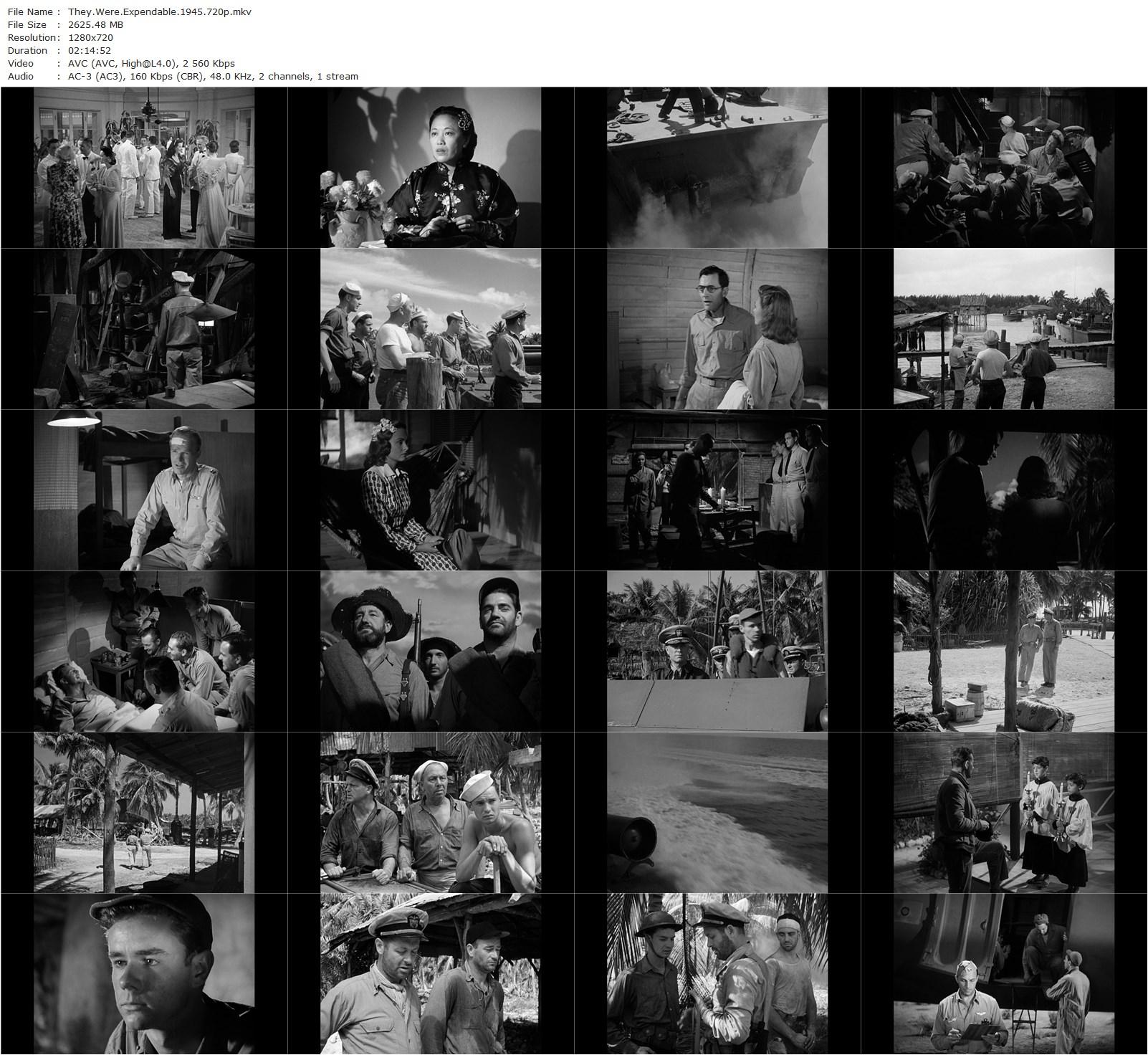 They Were Expendable (1945) John Ford, Robert Montgomery, John Wayne, Donna Reed-poster