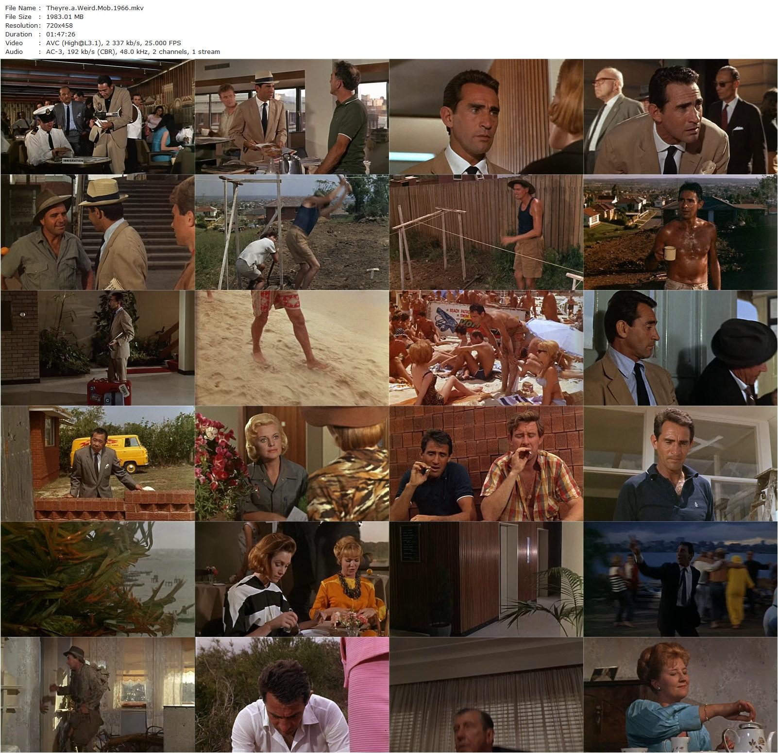 They’re a Weird Mob (1966) Michael Powell, Walter Chiari, Claire Dunne, Chips Rafferty-poster