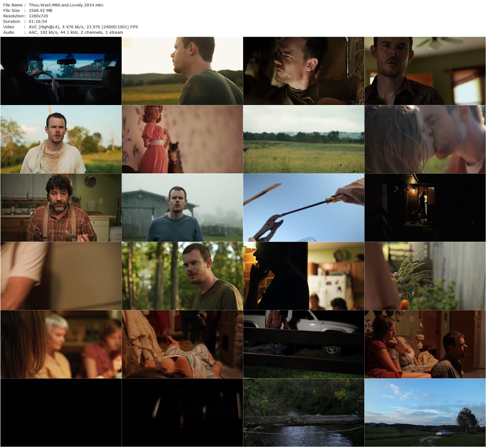 Thou Wast Mild and Lovely (2014) Josephine Decker, Joe Swanberg, Sophie Traub, Robert Longstreet-poster