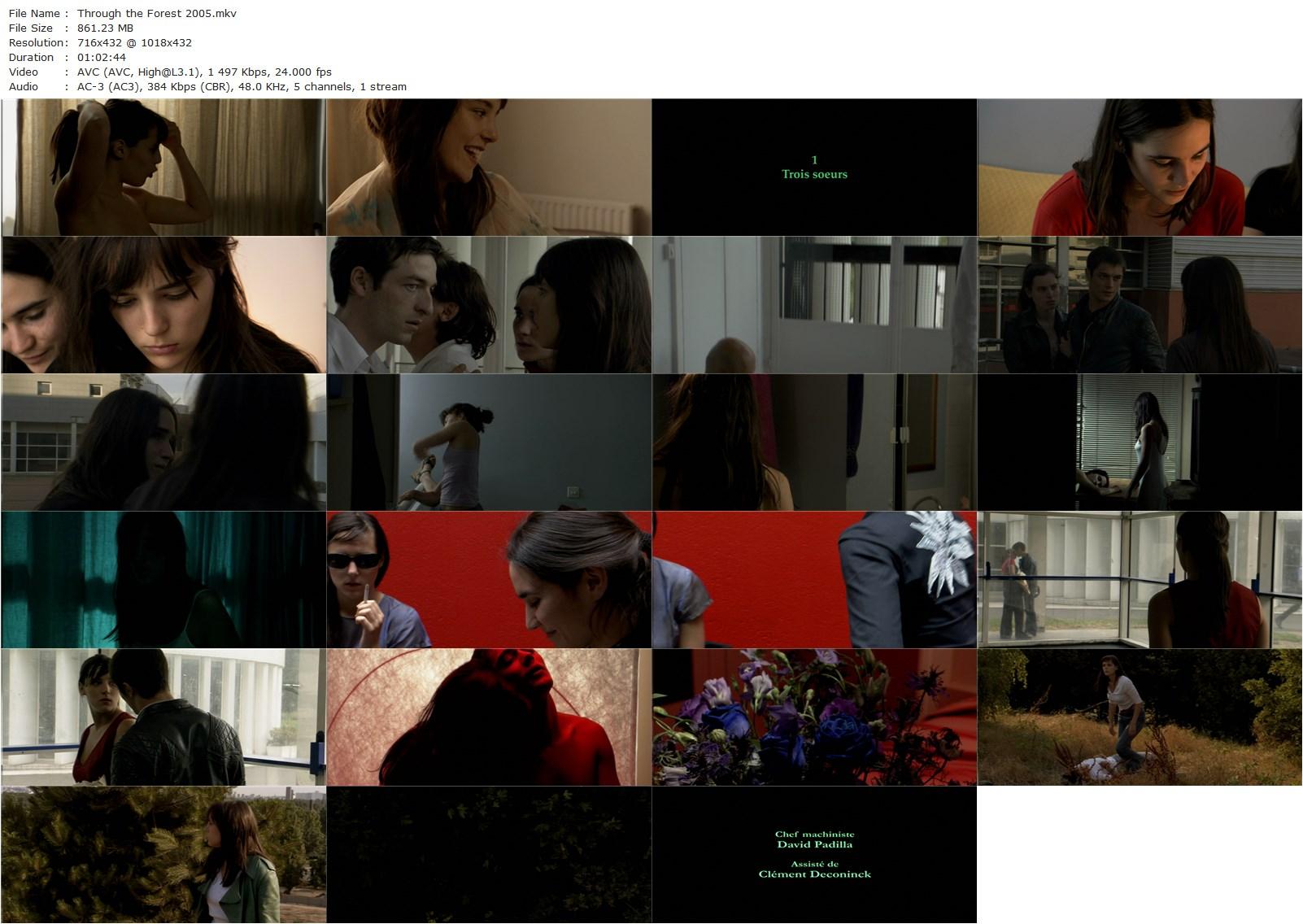 Through the Forest (2005) Jean-Paul Civeyrac, Jehnny Beth, Aurélien Wiik, Morgane Hainaux-poster