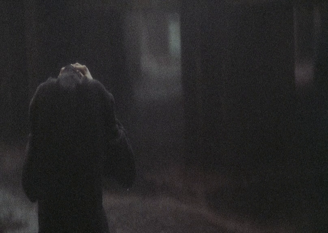 Aleksandr Sokurov - Tikhiye stranitsy aka Whispering Pages (1994)-poster