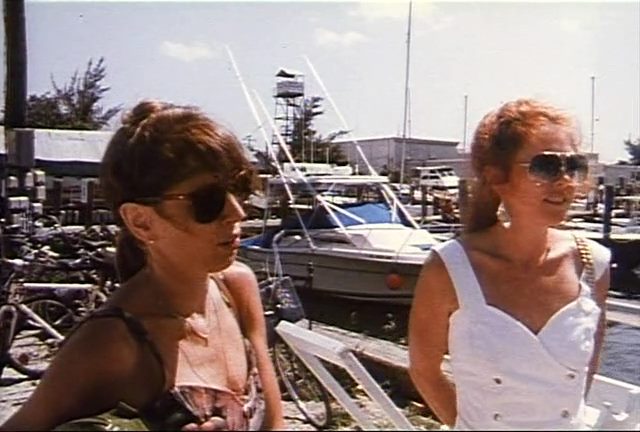 Time Indefinite (1993) Ross McElwee, Steve Ascher, Michael Blumenthal, Robert Gardner, Biography, Documentary-poster