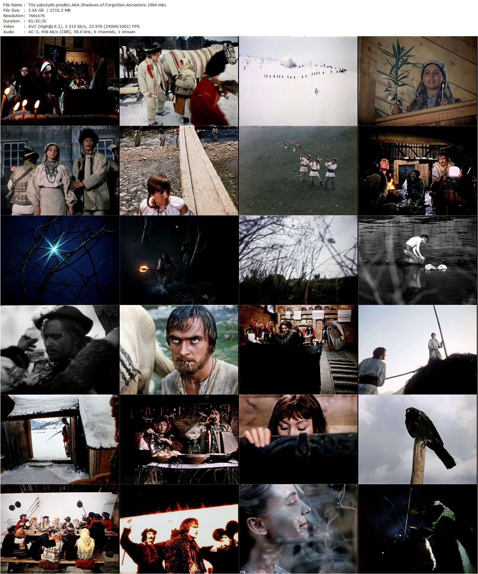 Shadows of Forgotten Ancestors AKA Tini zabutykh predkiv (1965) Sergei Parajanov, Ivan Mikolaychuk, Larisa Kadochnikova, Tatyana Bestayeva-poster