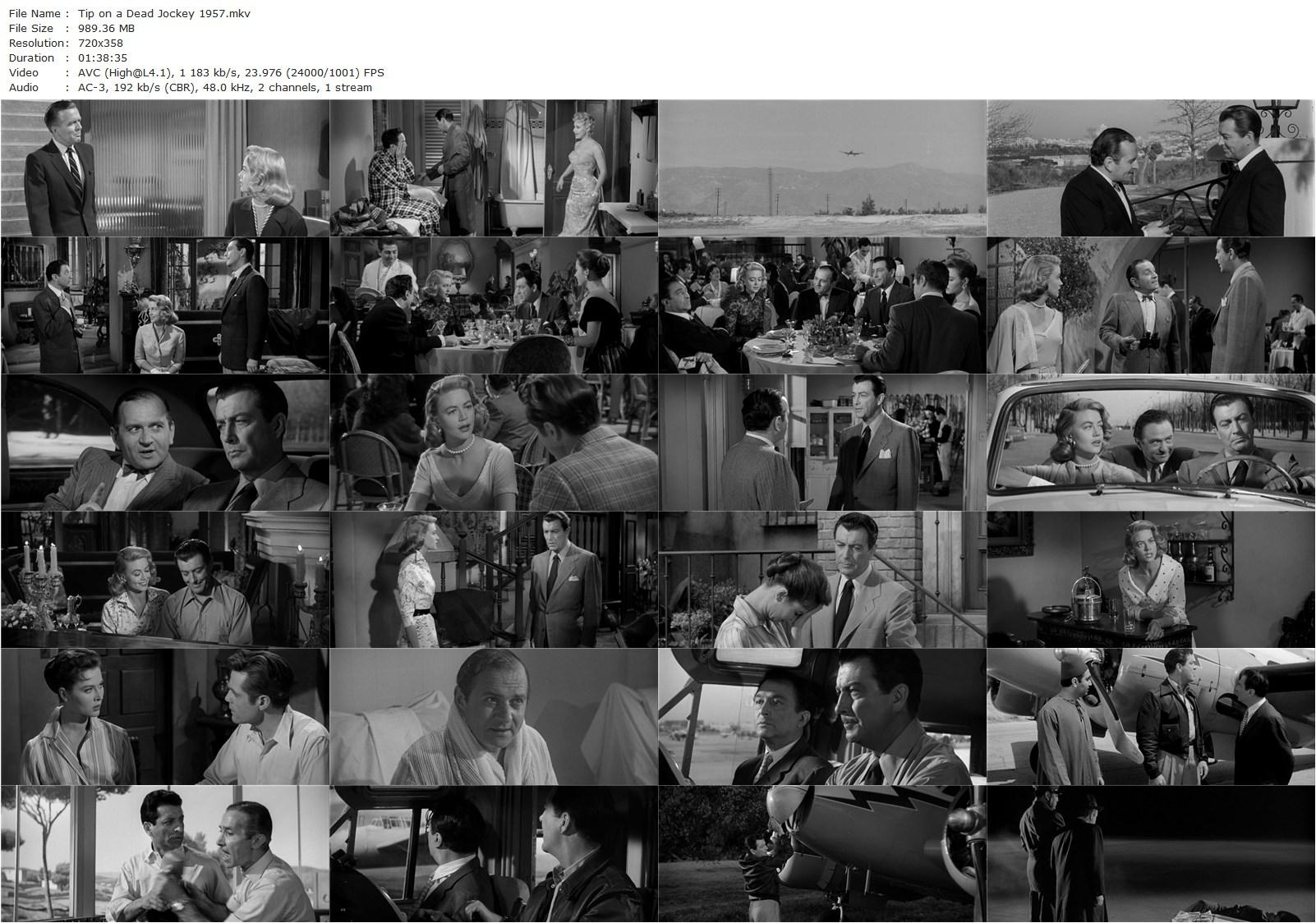 Tip on a Dead Jockey (1957) Richard Thorpe, Robert Taylor, Dorothy Malone, Marcel Dalio-poster