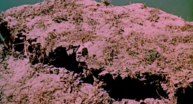 Tisza-öszi vázlatok (1963)-poster