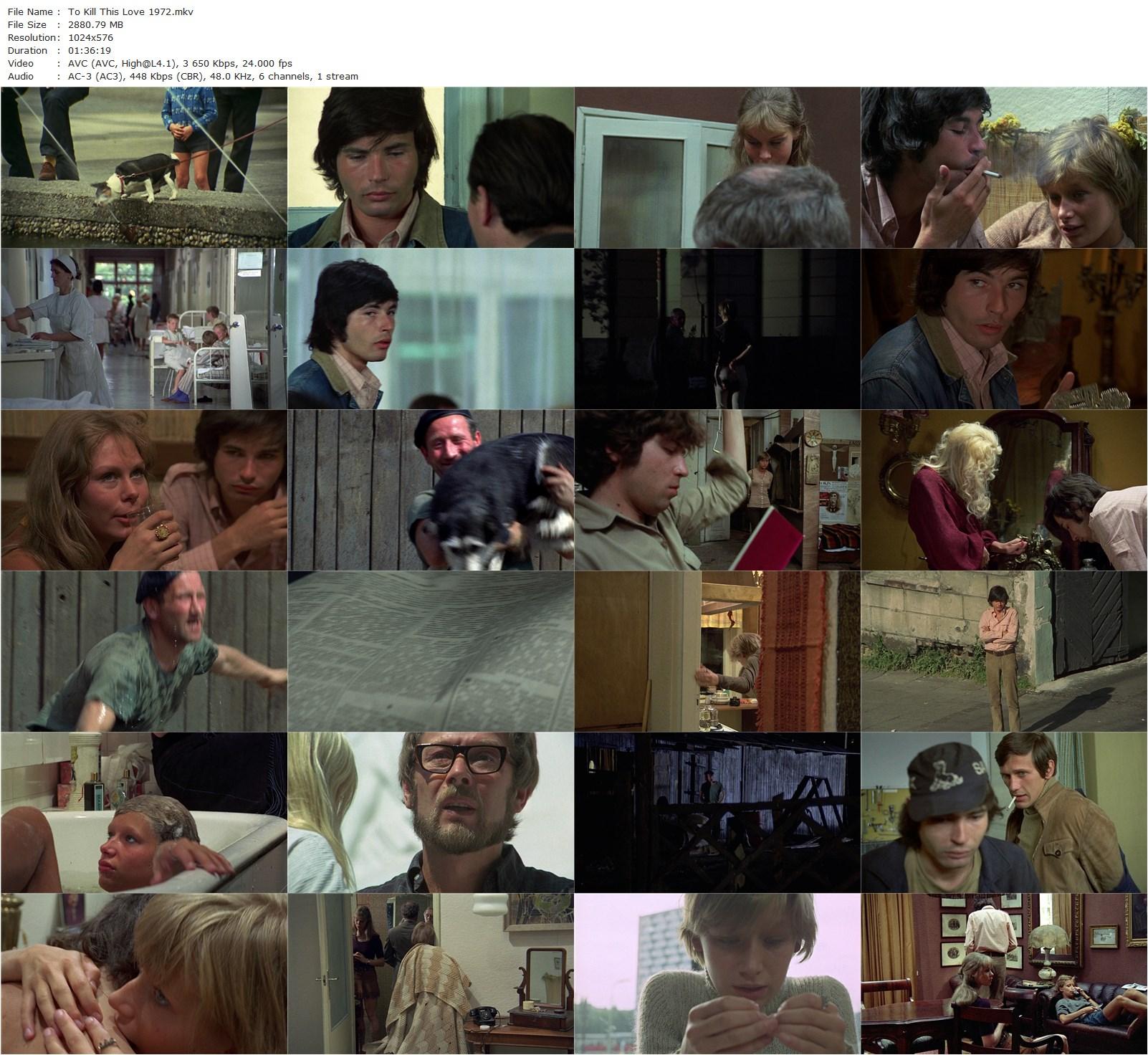 To Kill This Love (1972) Janusz Morgenstern, Jadwiga Jankowska-Cieslak, Andrzej Malec, Wladyslaw Kowalski-poster