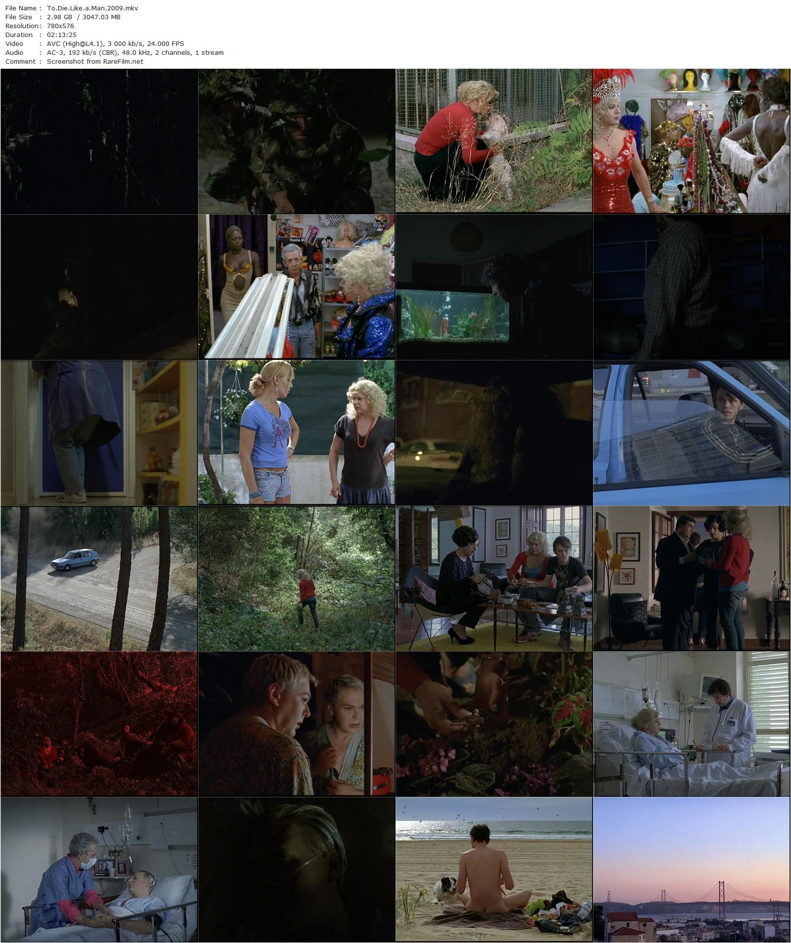 To Die Like a Man / Morrer Como Um Homem (2009) João Pedro Rodrigues, Chandra Malatitch, John Jesus Romão, Ivo Barroso-poster