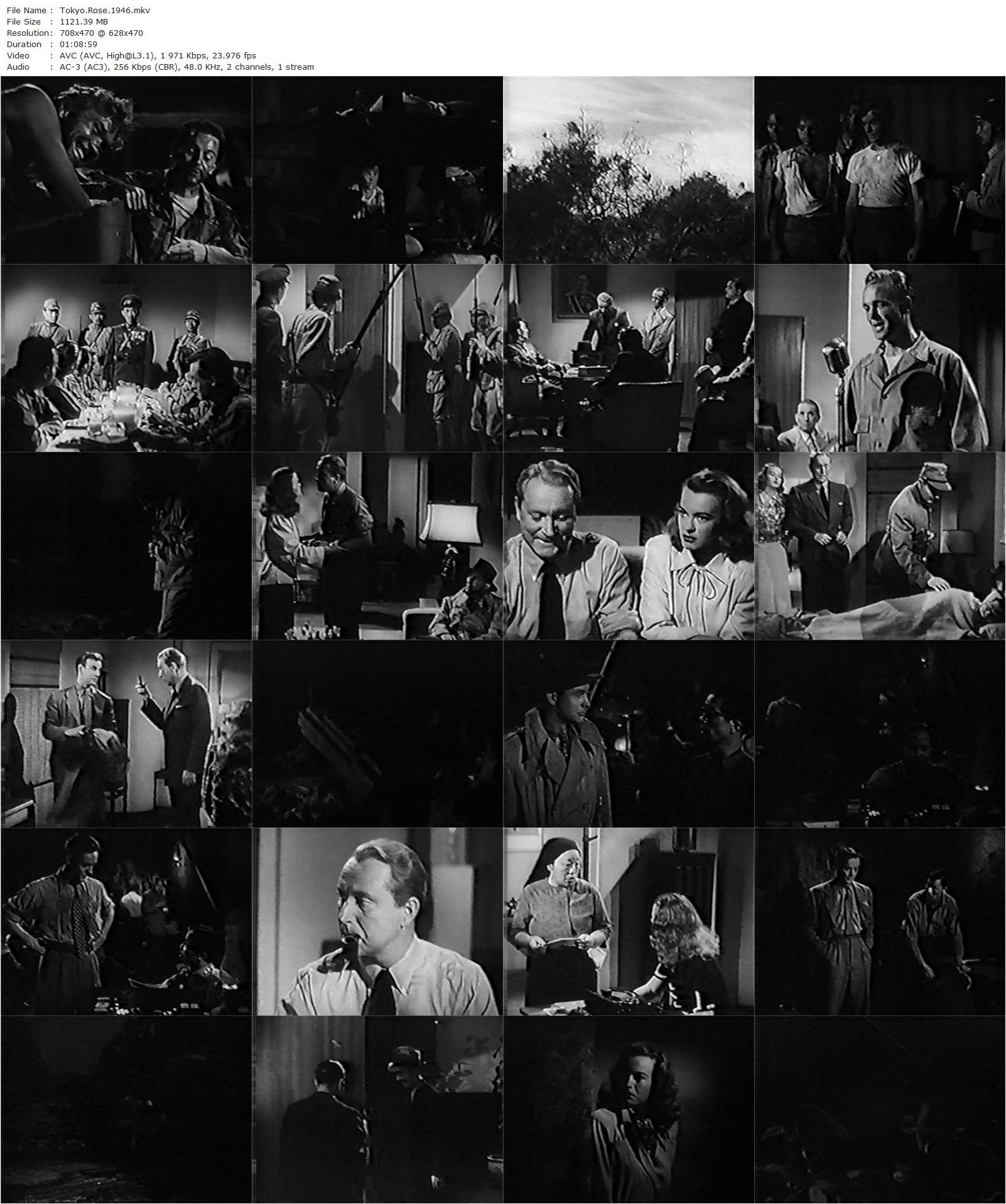 Tokyo Rose (1946) Lew Landers, Byron Barr, Osa Massen, Donald Douglas-poster