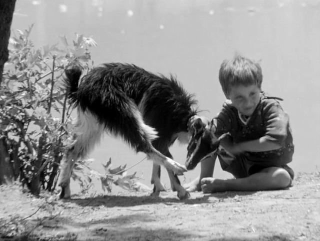 Tomka dhe shokët e tij (1977)-poster