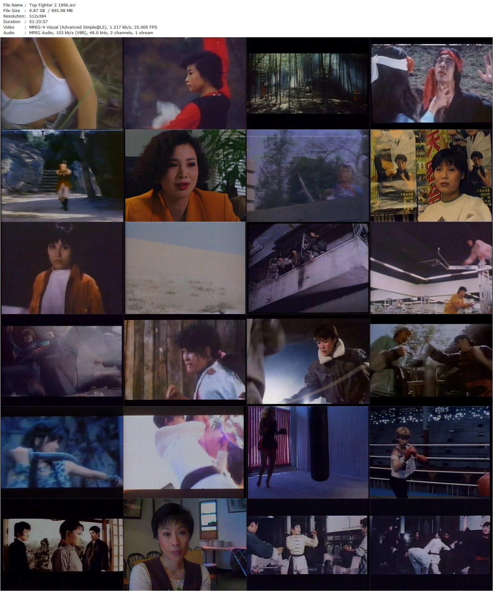 Top Fighter 2 (1996) Toby Russell, Shenagh Cameron, Jackie Chan, Ling Chang-poster