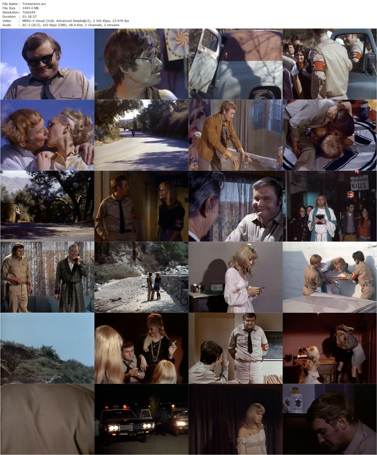 The Tormentors (1971) David L. Hewitt, James Craig, Chris Noel, Anthony Eisley-poster