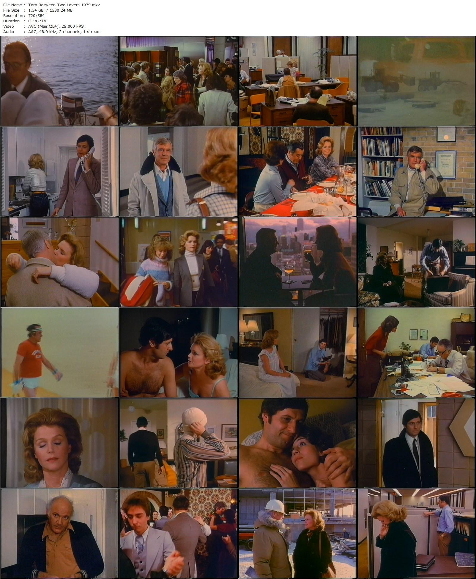 Torn Between Two Lovers (1979) Delbert Mann, Lee Remick, Joseph Bologna, George Peppard-poster