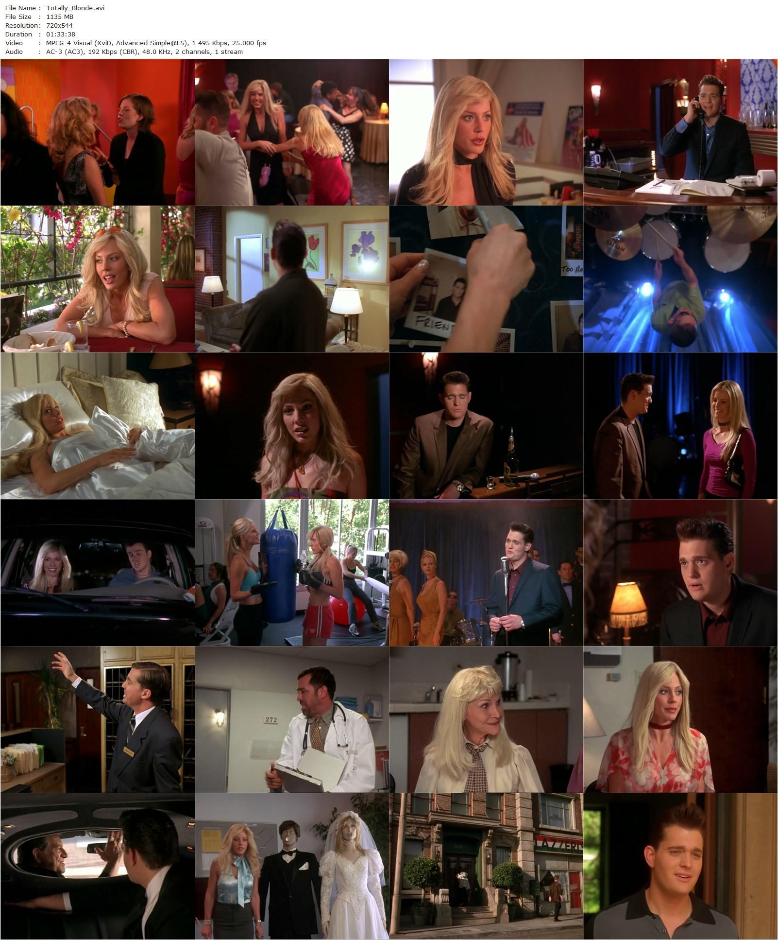 Totally Blonde (2001) Andrew Van Slee, Krista Allen, Joseph Will, Maeve Quinlan-poster