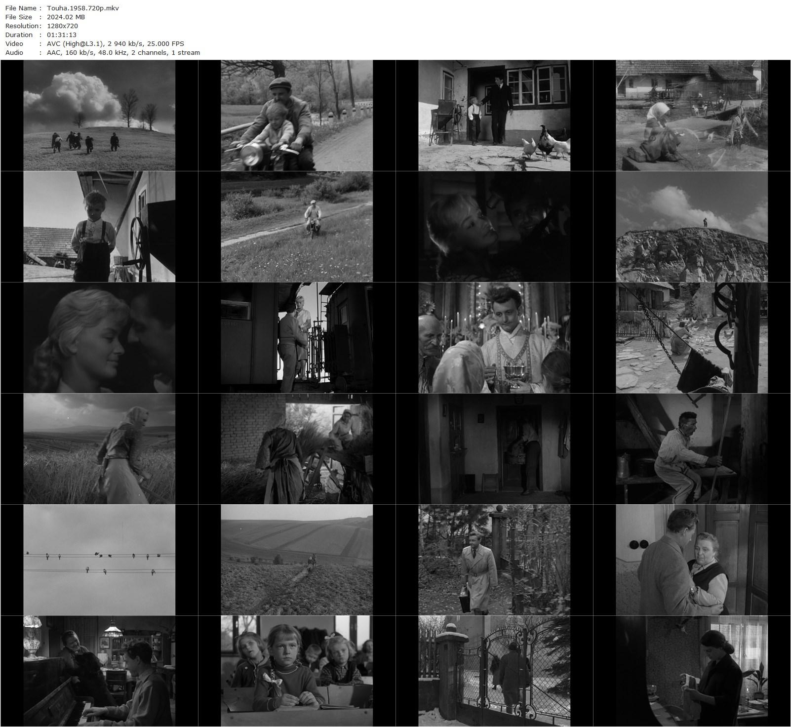 Desire AKA Touha (1958) Vojtech Jasný, Jan Jakes, Václav Babka, Jana Brejchová-poster