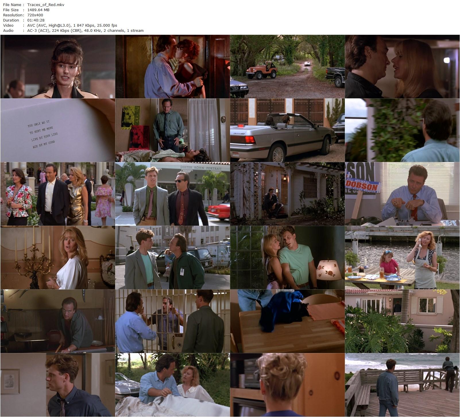 Traces of Red (1992) Andy Wolk, Jim Belushi, Lorraine Bracco, Tony Goldwyn-poster