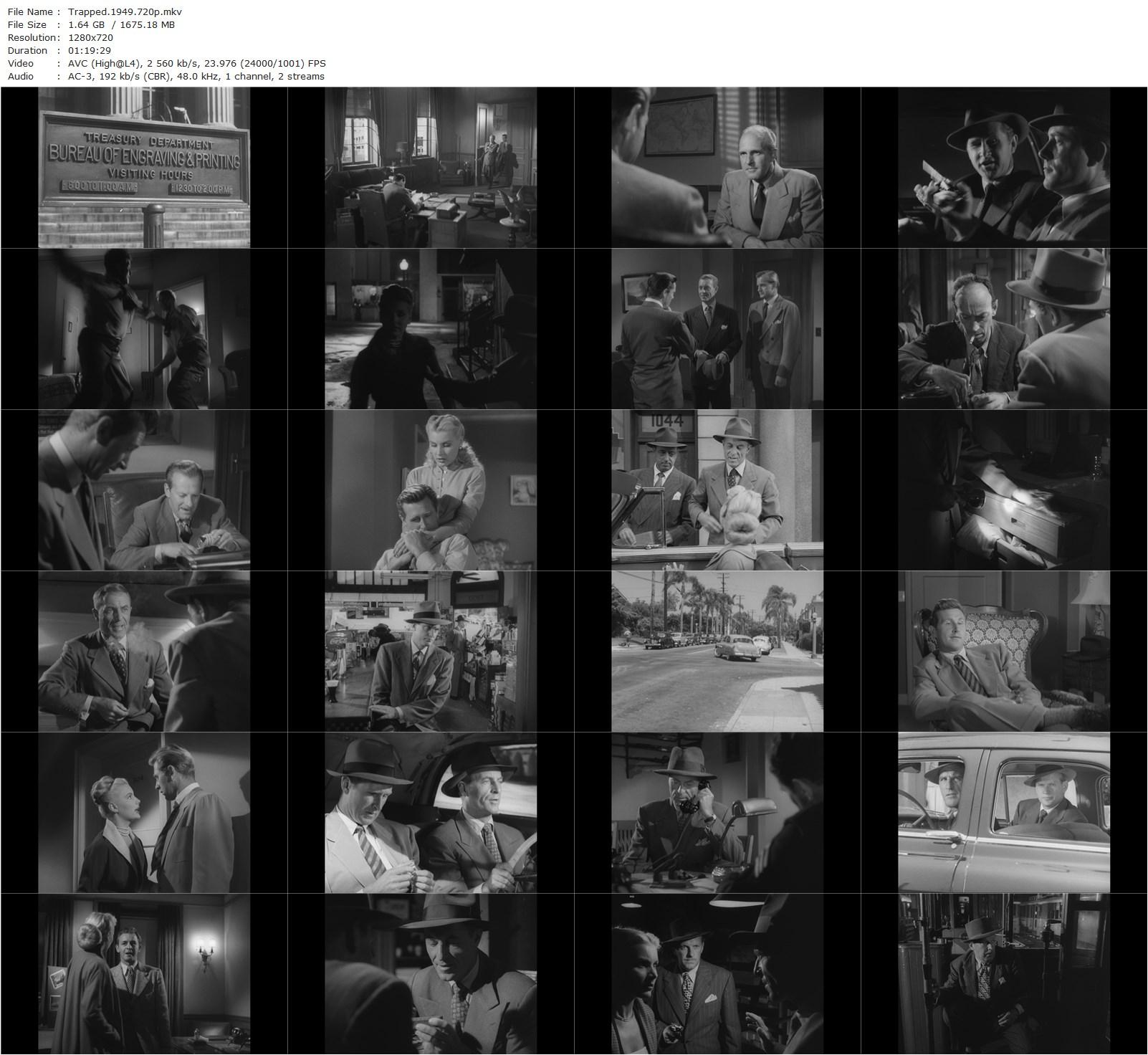 Trapped (1949) Richard Fleischer, Lloyd Bridges, Barbara Payton, John Hoyt-poster