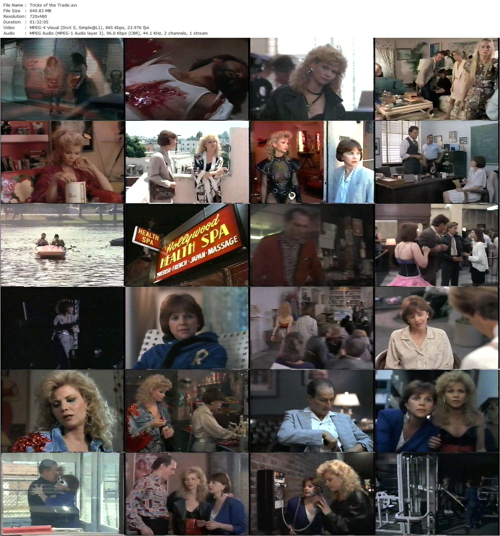 Tricks of the Trade (1988) Jack Bender, Cindy Williams, Markie Post, John Ritter-poster