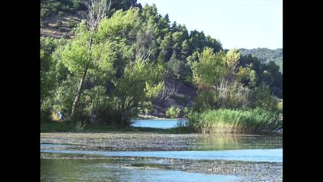 Trois Rives AKA Three shores (2023) by Damien Cattinari-poster