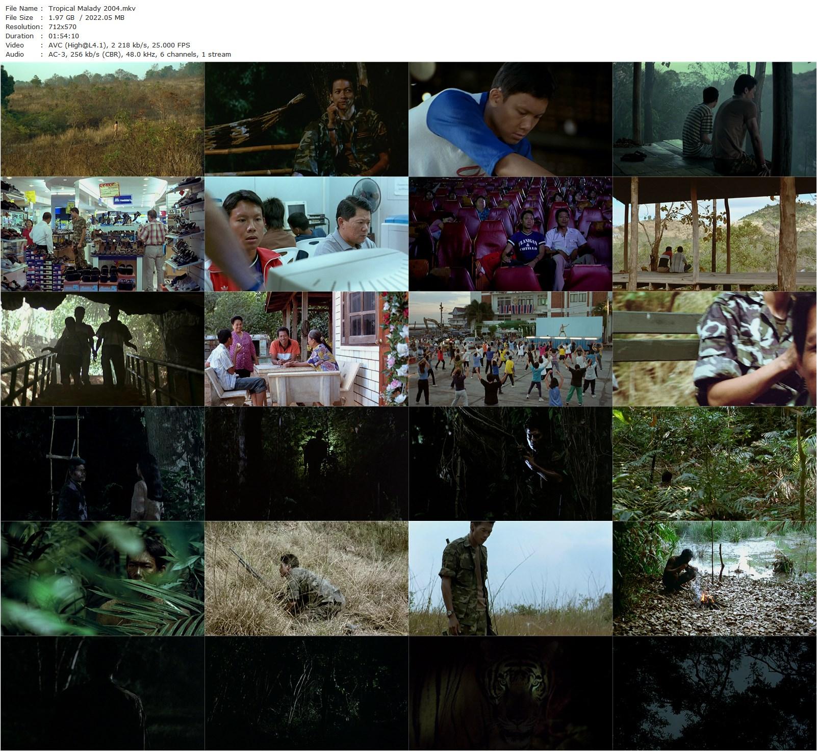 Tropical Malady AKA Sud pralad (2004) Apichatpong Weerasethakul, Banlop Lomnoi, Sakda Kaewbuadee, Huai Dessom-poster