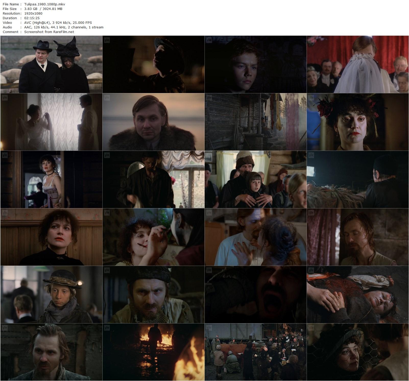 Tulipää / Flame Top (1980) Pirjo Honkasalo, Pekka Lehto, Asko Sarkola, Rea Mauranen, Kari Franck-poster