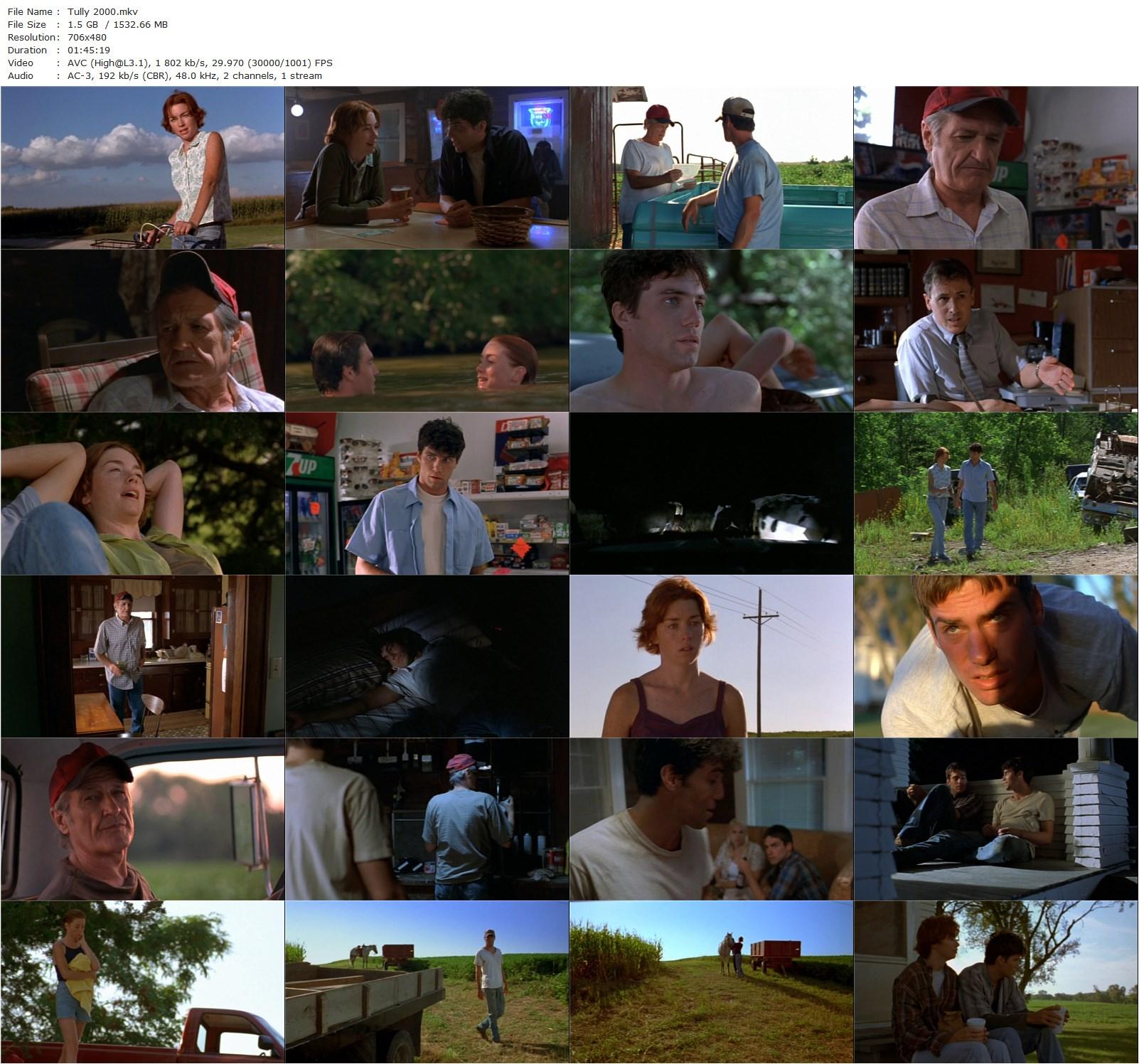 Tully (2000) Hilary Birmingham, Glenn Fitzgerald, Anson Mount, Bob Burrus-poster