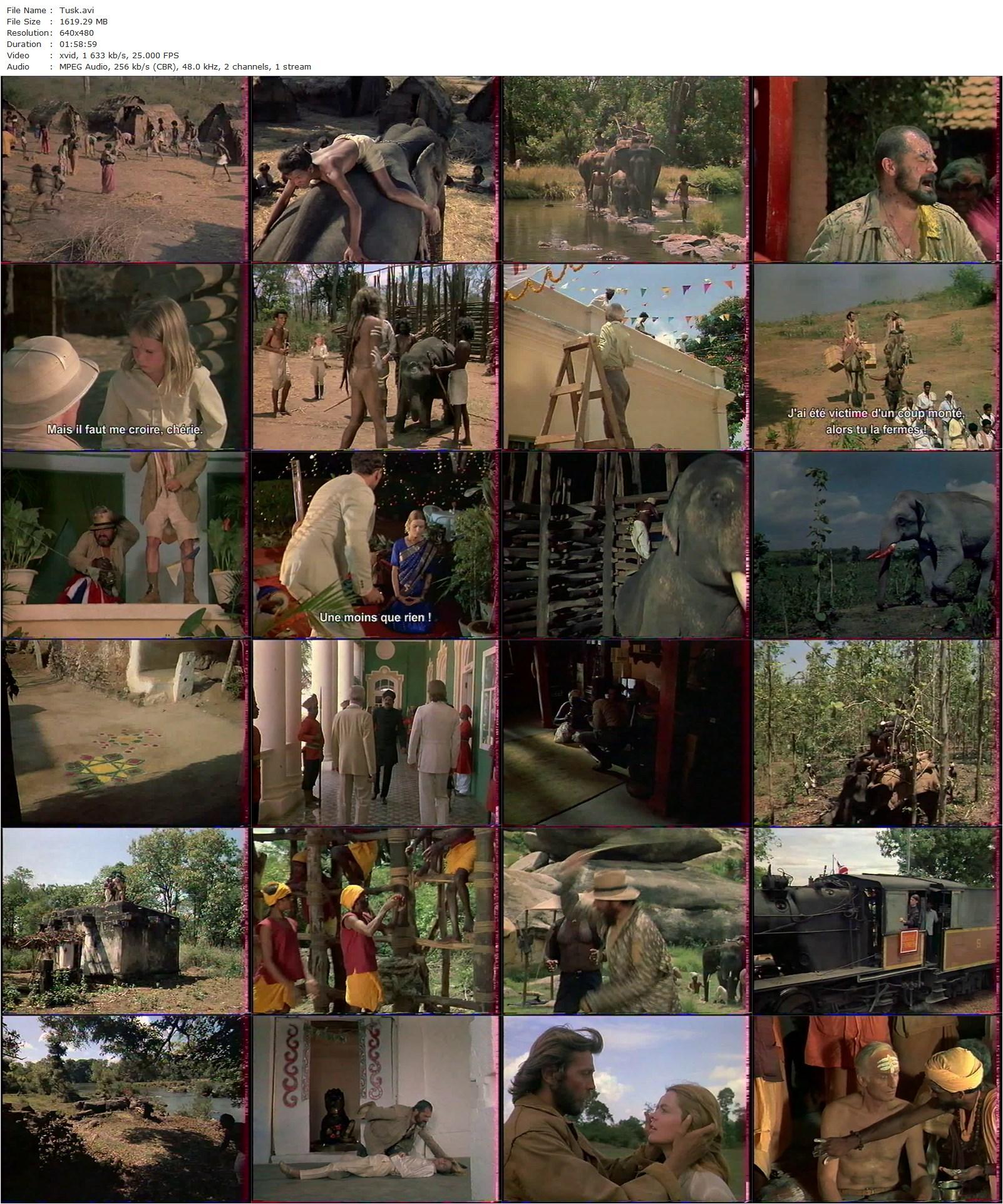 Tusk (1980) Alejandro Jodorowsky, Cyrielle Clair, Anton Diffring, Serge Merlin-poster