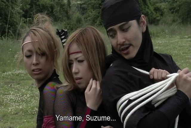 Twin Blades of the Ninja (2007) | Worldscinema | Download Free-poster