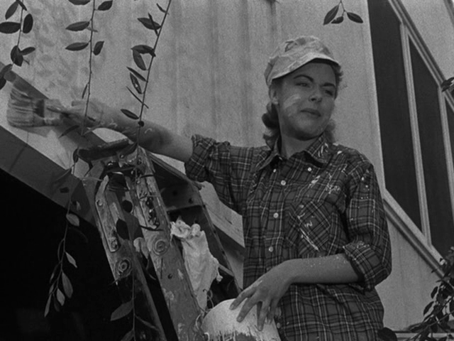 Two of a Kind (1951) | worldscinema.org | Free Download-poster