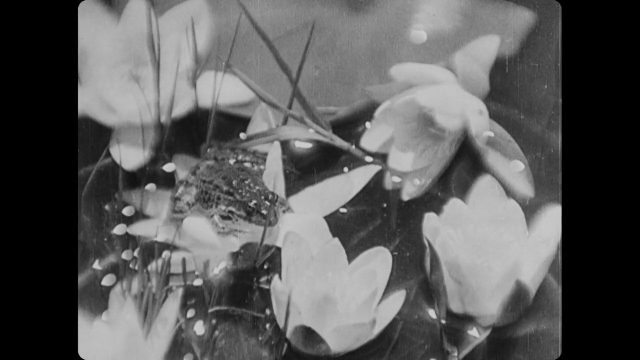 Nutsa Gogoberidze – Ujmuri AKA Cheerless (1934)