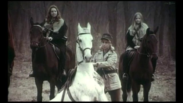 Uloga moje porodice u svjetskoj revoluciji (1971) by Bahrudin 'Bato' Cengic-poster