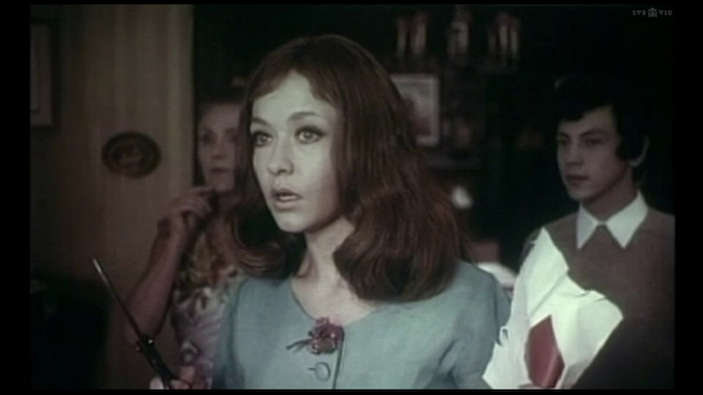 Uloga moje porodice u svjetskoj revoluciji (1971) by Bahrudin 'Bato' Cengic-poster