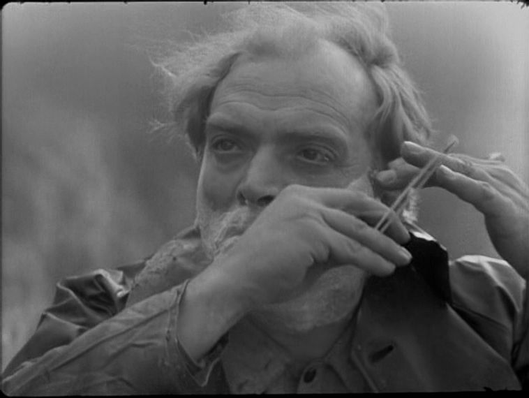 Uma Abelha na Chuva / A Bee in the Rain (1972) Fernando Lopes, Laura Soveral, João Guedes, Zita Duarte, Drama-poster