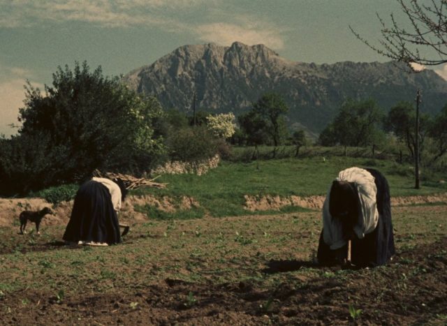 Vittorio De Seta - Un giorno in Barbagia AKA A Day in Barbagia (1958)-poster