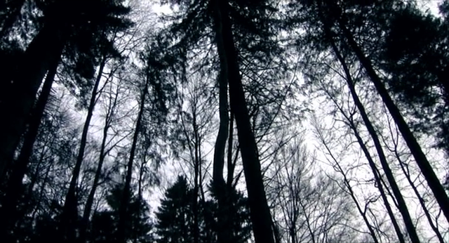 Un lac (2008)-poster