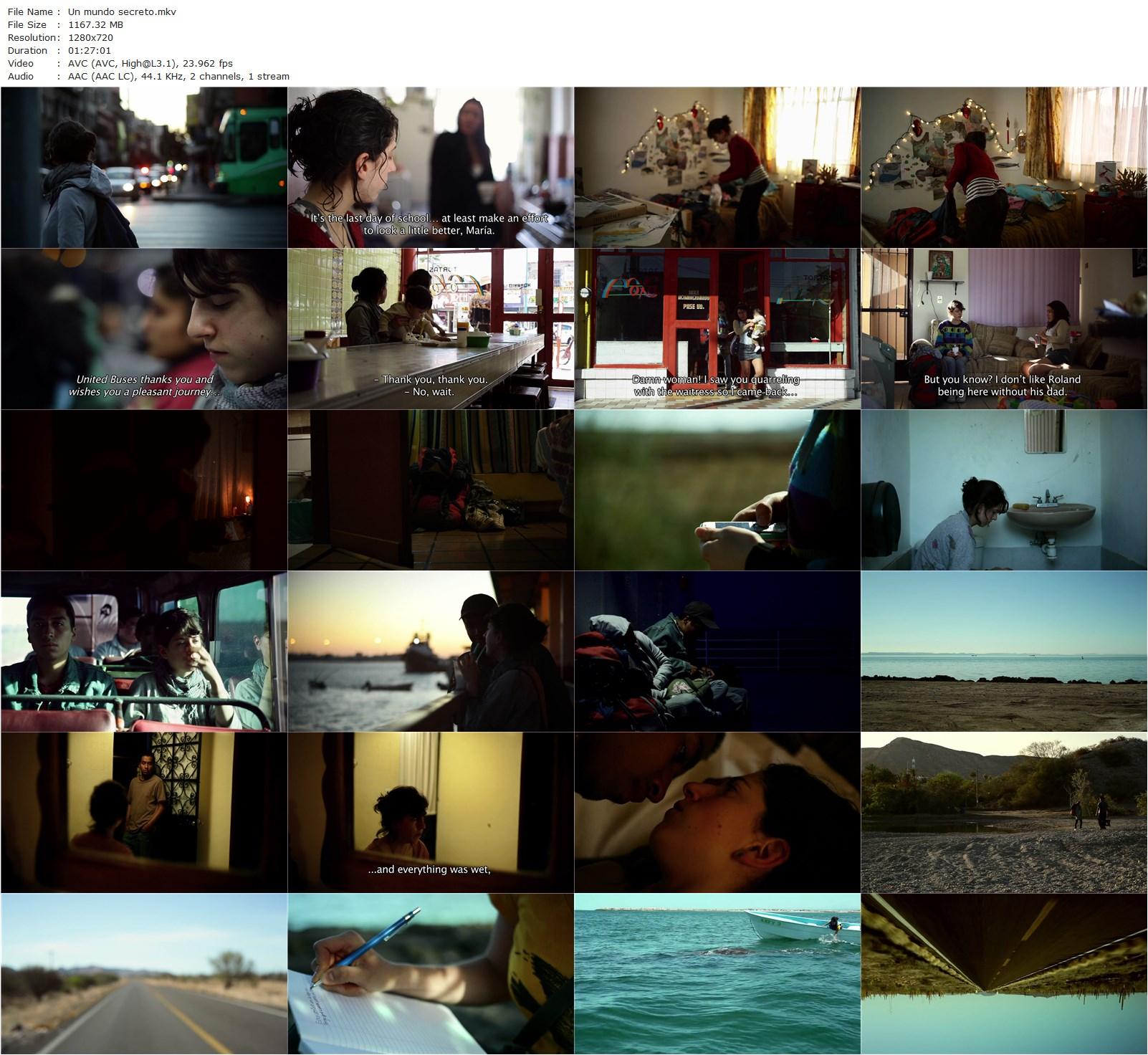 A Secret World (2012) Gabriel Mariño, Lucía Uribe Bracho, Roberto Mares, Olivia Lagunas-poster