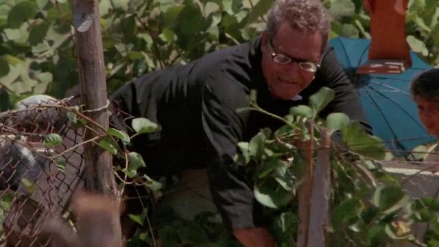 Un señor muy viejo con unas alas enormes (1988)-poster