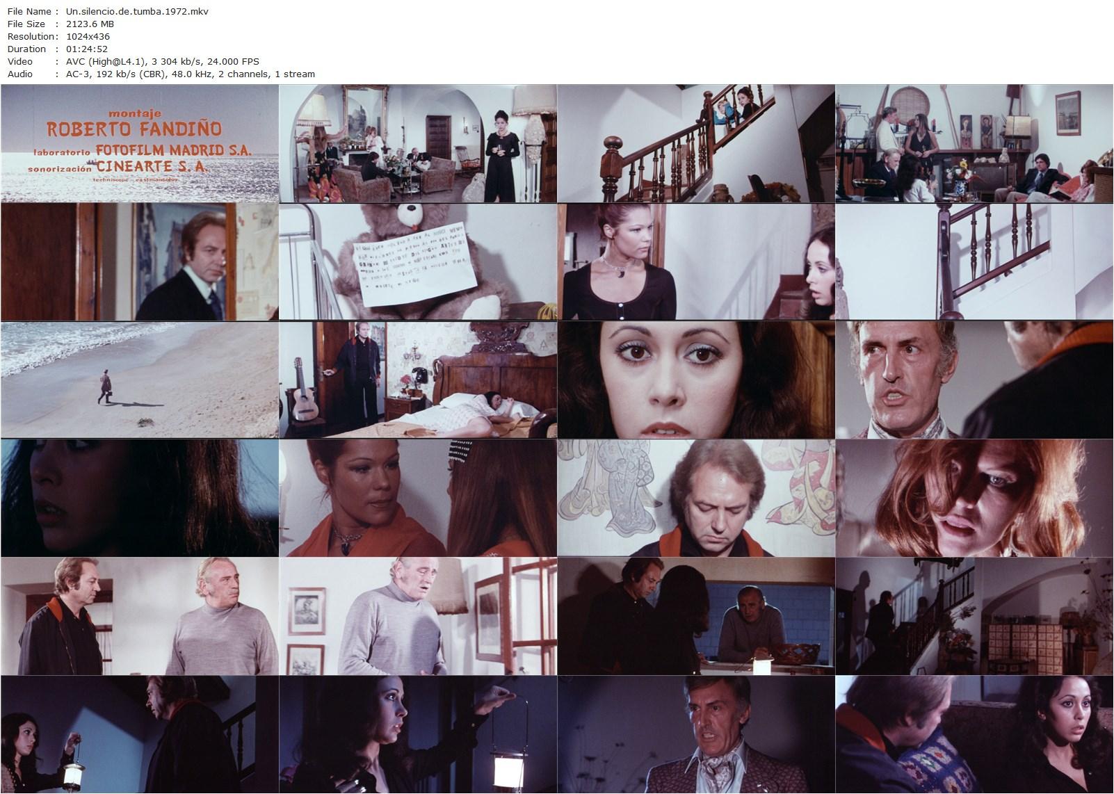 The Silence of The Tomb AKA Un silencio de tumba (1976) Jesús Franco, Alberto Dalbés, Glenda Allen, Mario Álex-poster